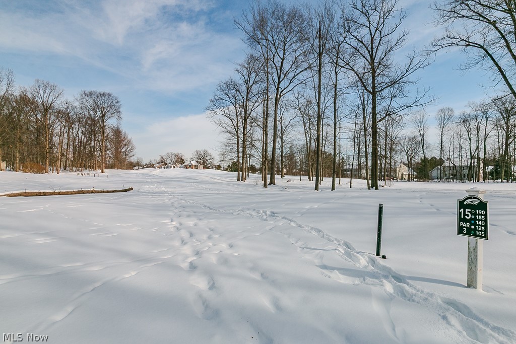 11241 Stanley Lane Twinsburg OH 44087