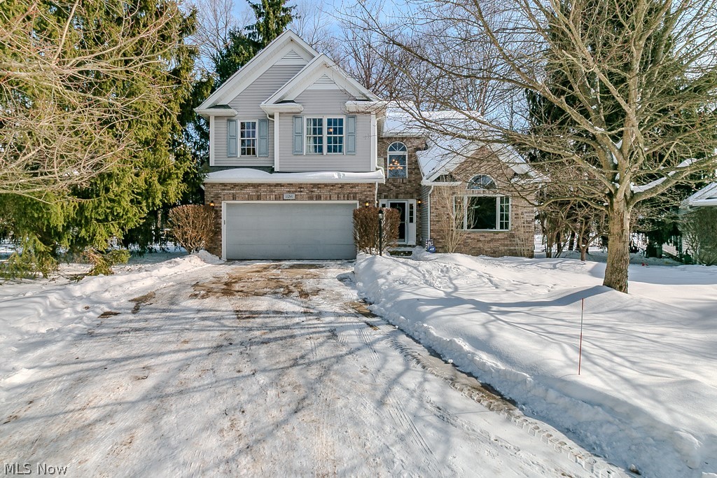 11241 Stanley Lane Twinsburg OH 44087