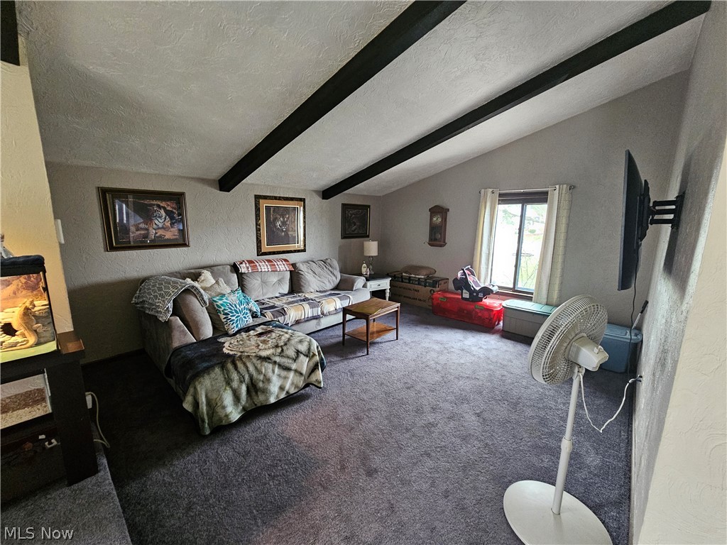 4112 Ivanhoe Drive Lorain OH 44053