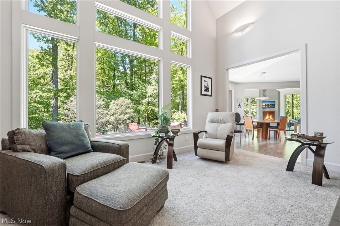 7230 Brighton Park Court Chagrin Falls OH 44023