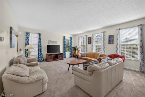 7941 Megan Meadow Drive Hudson OH 44236