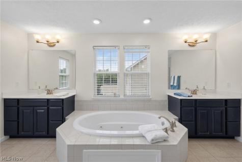 7941 Megan Meadow Drive Hudson OH 44236