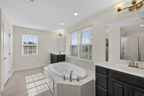 7941 Megan Meadow Drive Hudson OH 44236