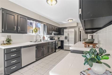 113 W 1st Street Minerva OH 44657