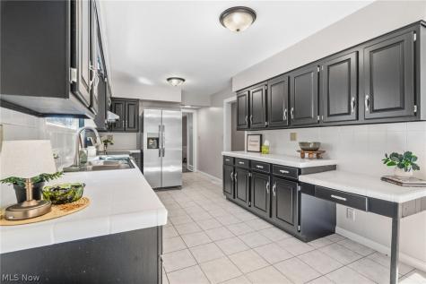 113 W 1st Street Minerva OH 44657