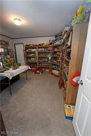 4790 Scenic Drive Ravenna OH 44266