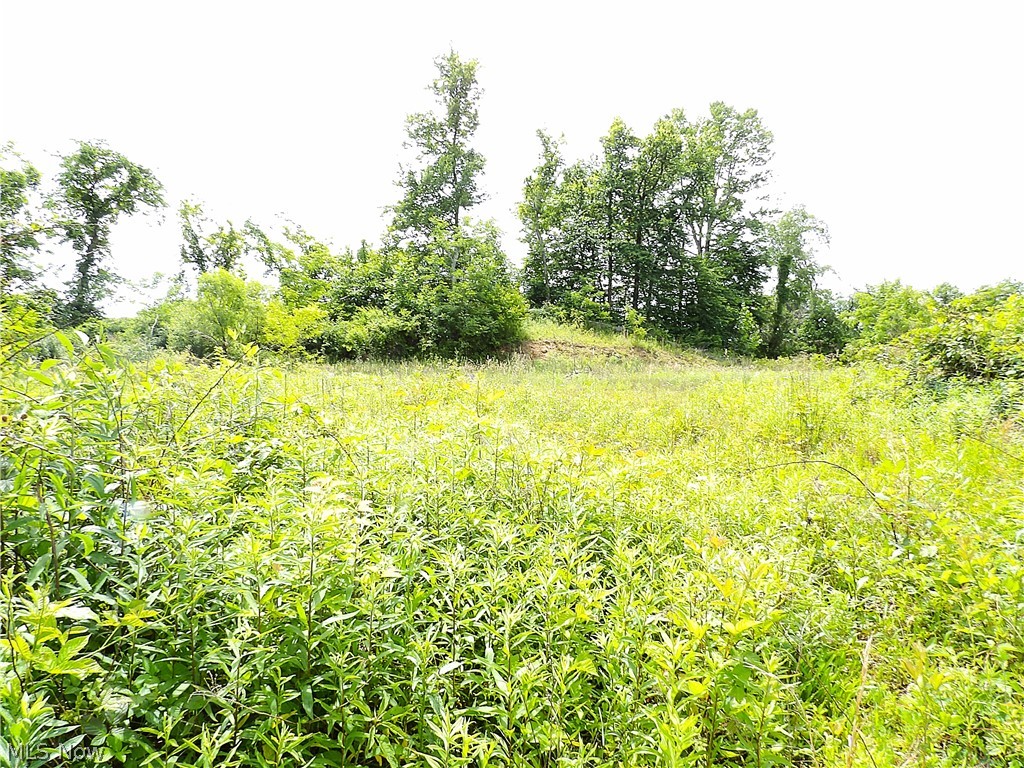 46390 State Route 536 Woodsfield OH 43793