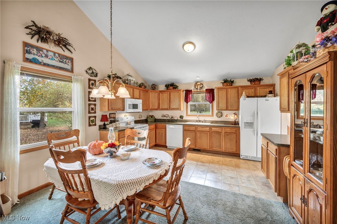 1073 Ashview Drive Madison OH 44057