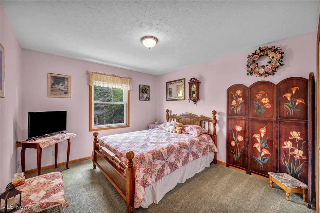 1073 Ashview Drive Madison OH 44057