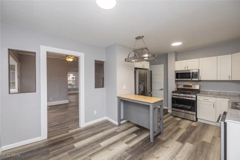 1181 E 114th Street Cleveland OH 44108