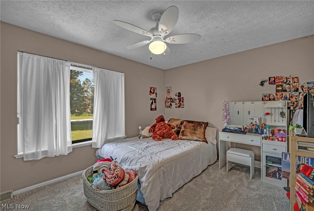 4102 Manchester Road Perry OH 44081
