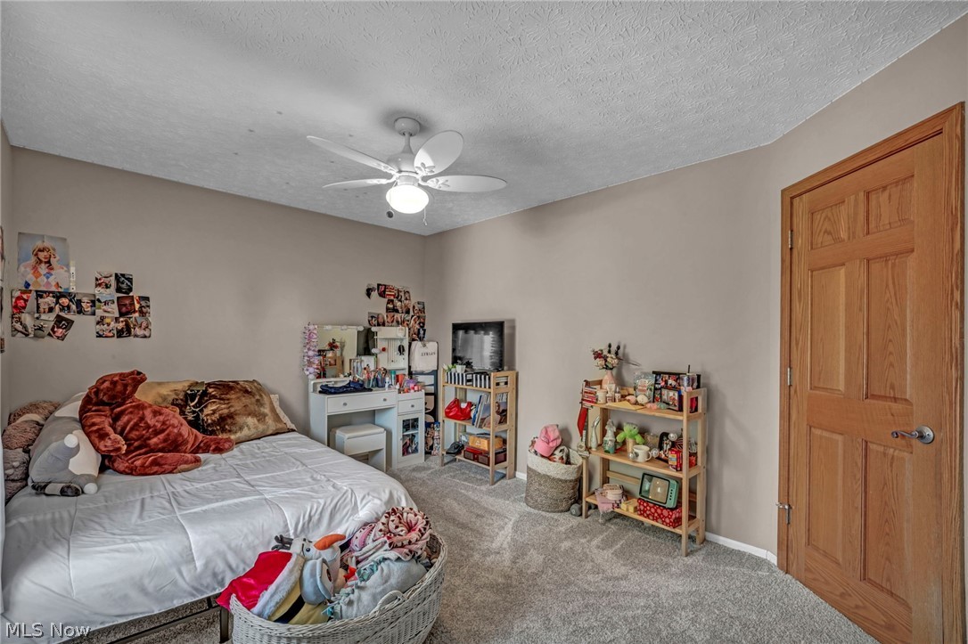 4102 Manchester Road Perry OH 44081