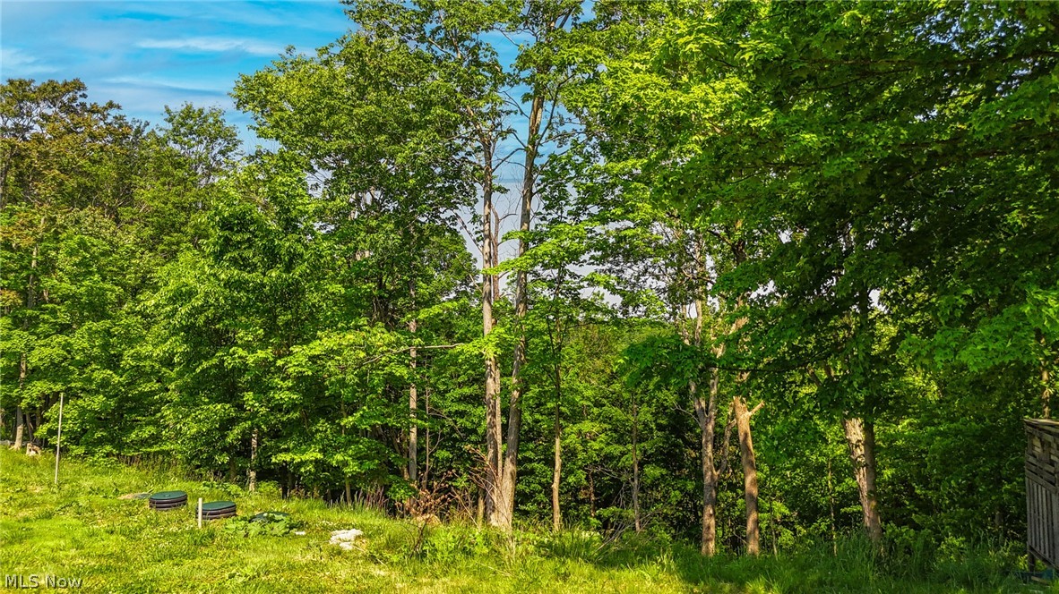 7455 Stanleyville Road Whipple OH 45788