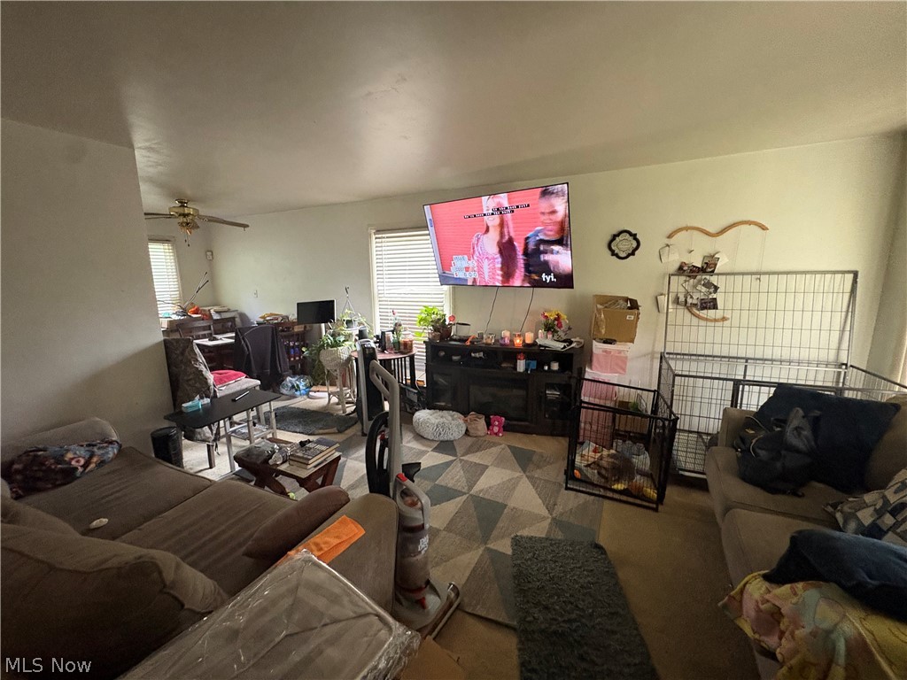 24951 Treadwell Euclid OH 44117