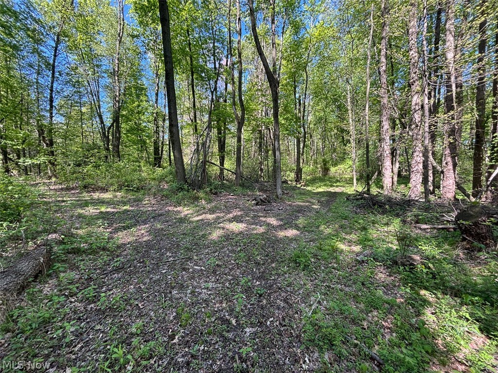 6060 Dalton Fox Lake Road North Lawrence OH 44666