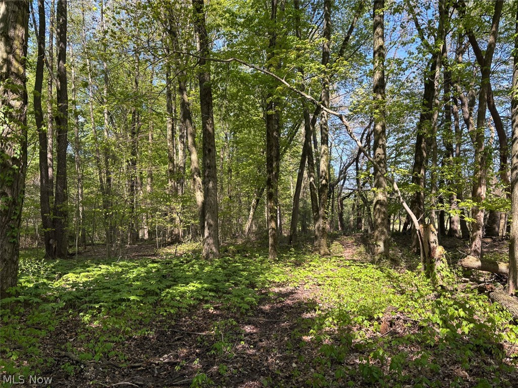 6060 Dalton Fox Lake Road North Lawrence OH 44666