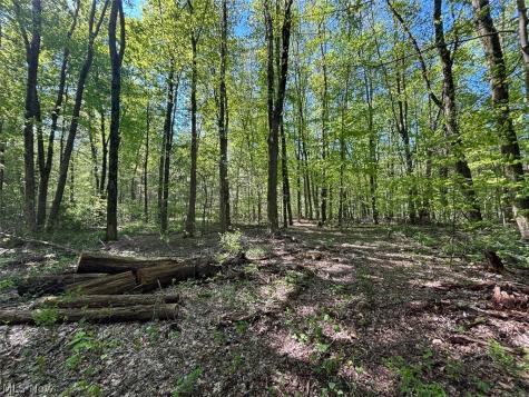 Dalton Fox Lake Road North Lawrence OH 44666