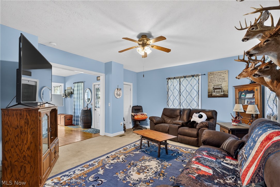 276 E College Street West Farmington OH 44491