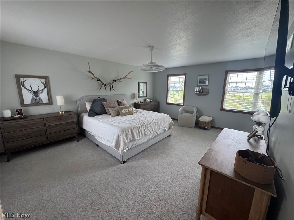 4201 W Candy Apple Court New Middletown OH 44442