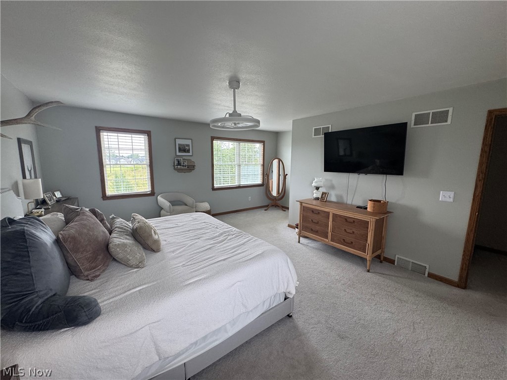 4201 W Candy Apple Court New Middletown OH 44442