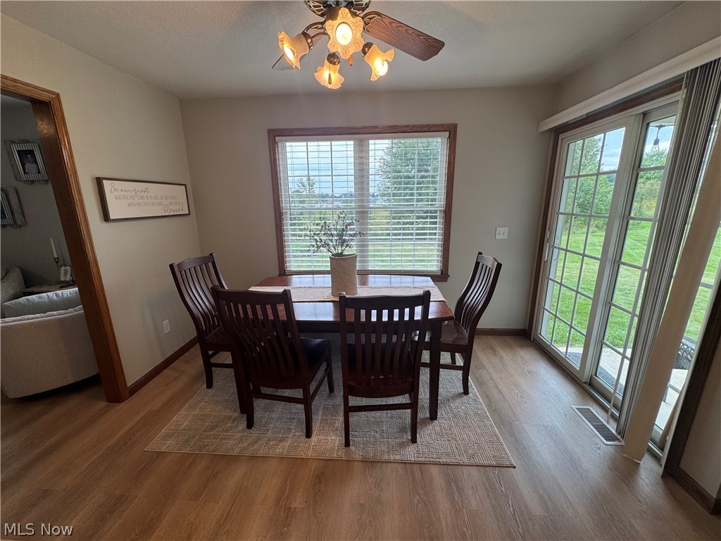 4201 W Candy Apple Court New Middletown OH 44442