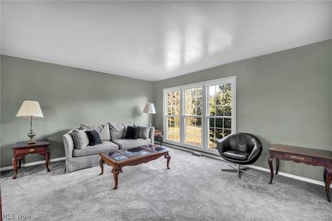 3045 Irena Lane Twinsburg OH 44087