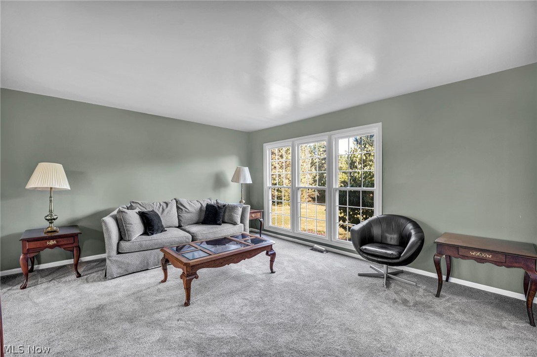 3045 Irena Lane Twinsburg OH 44087