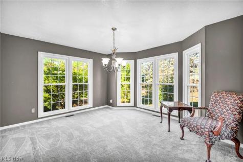 3045 Irena Lane Twinsburg OH 44087