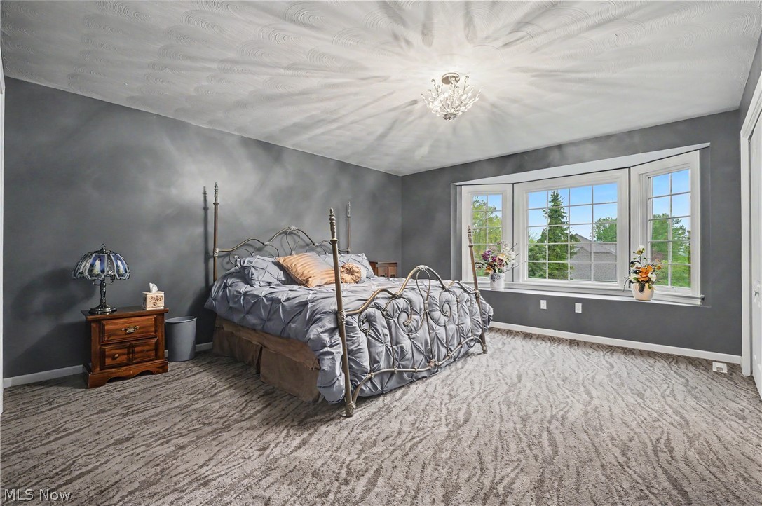 170 Oak Tree Drive Canfield OH 44406