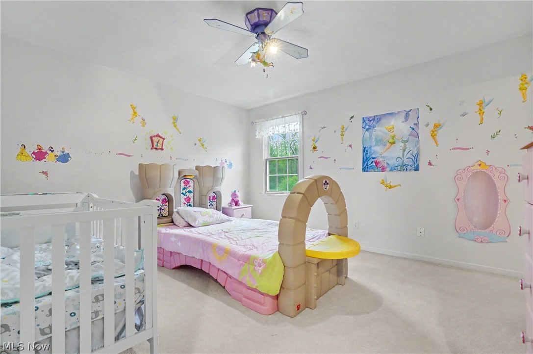 170 Oak Tree Drive Canfield OH 44406