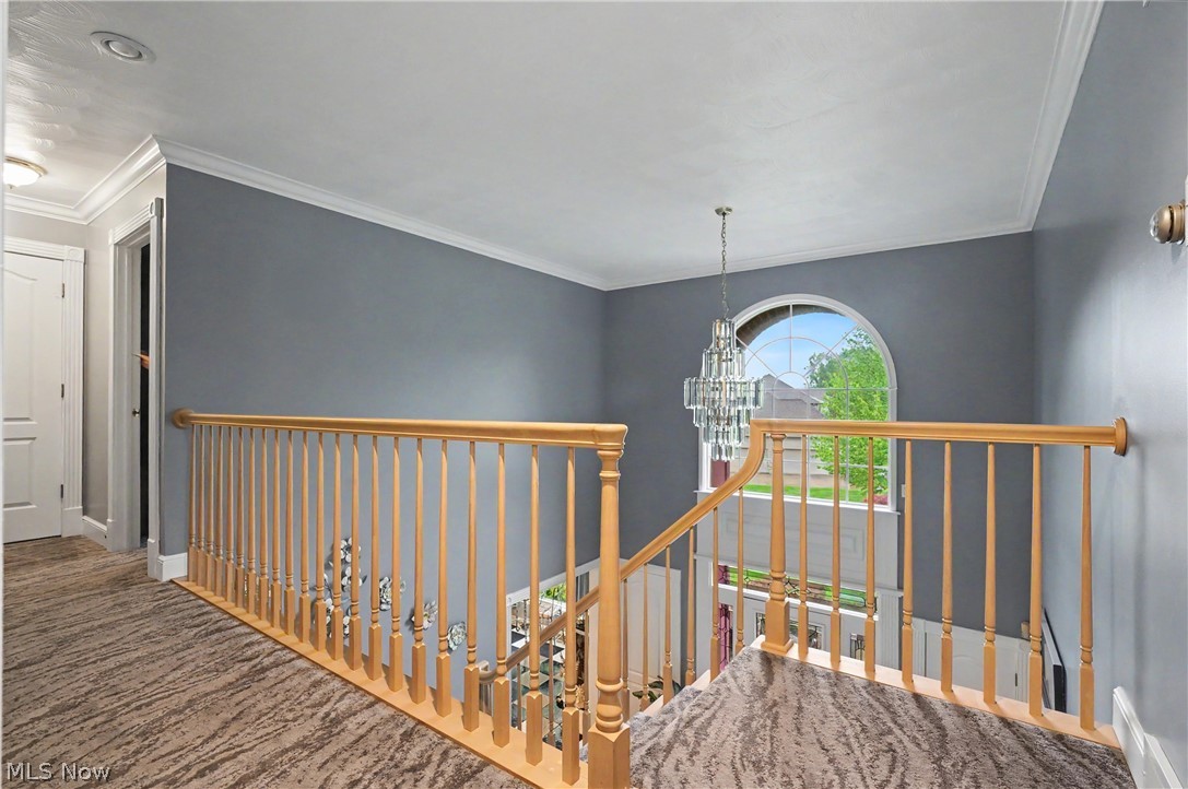 170 Oak Tree Drive Canfield OH 44406