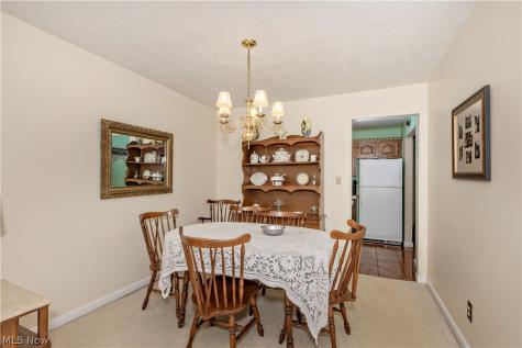 5899 S Shandle Boulevard Mentor OH 44060