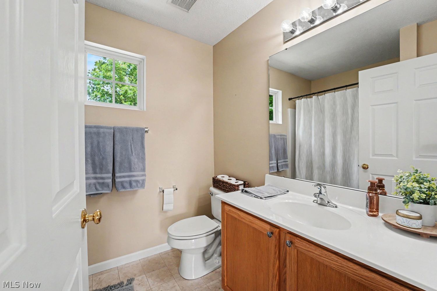 1487 Greenfield Lane Painesville OH 44077