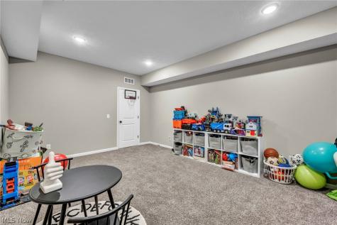 1751 Clemson Drive Brunswick OH 44212