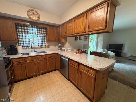 6116 Thunderbird Drive Mentor OH 44060