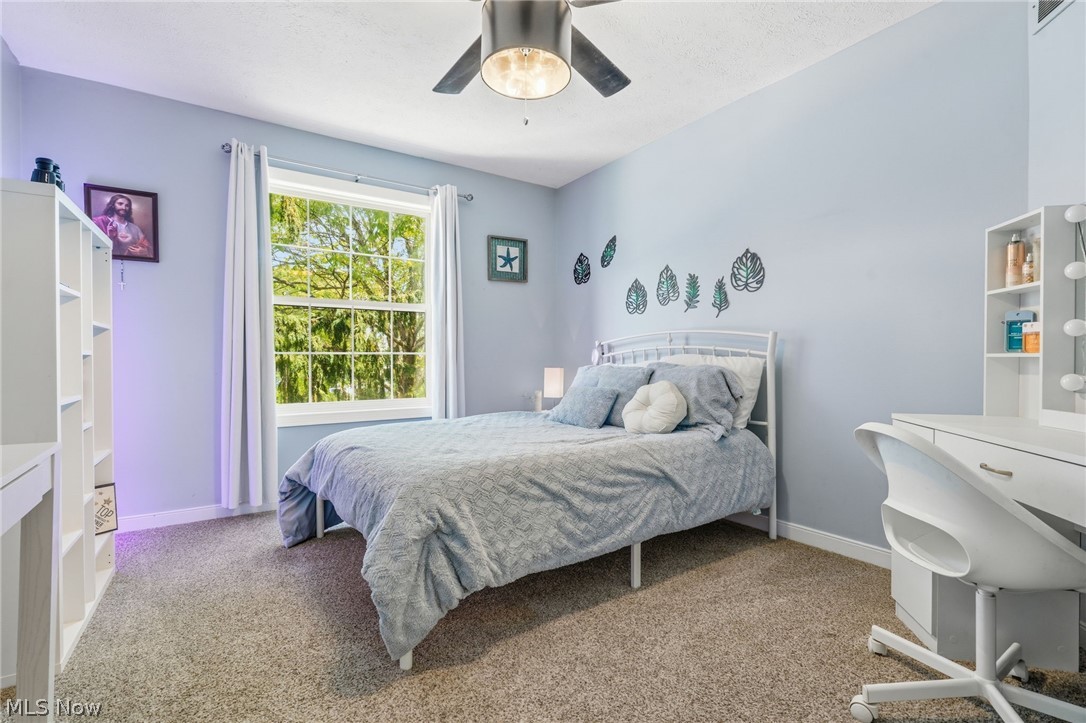 2984 Silver Maple Drive Fairlawn OH 44333