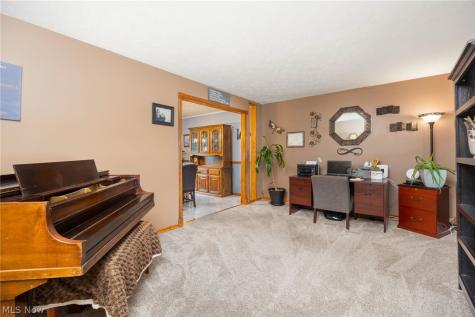 4153 Rolling Hills Brunswick OH 44212