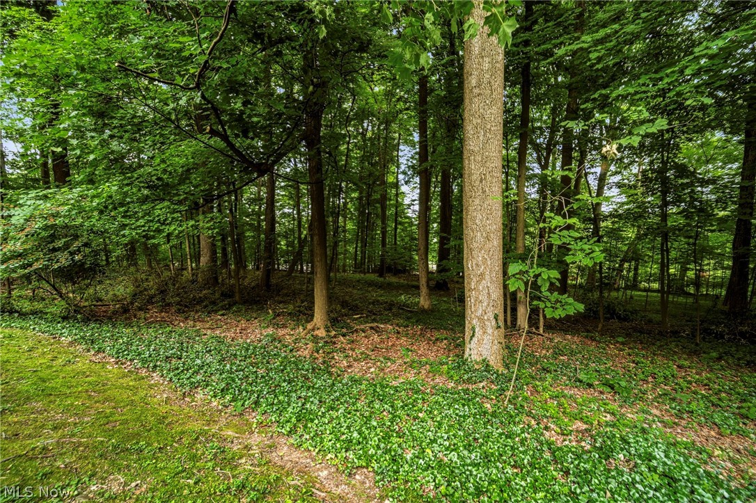 11565 Wilbert Road Chardon OH 44024