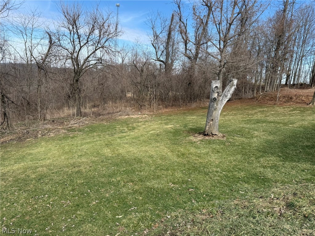 23033 Cadiz Road Freeport OH 43973