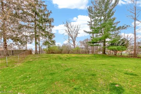 3802 Bramblewood Drive Brunswick OH 44212