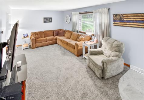 3802 Bramblewood Drive Brunswick OH 44212