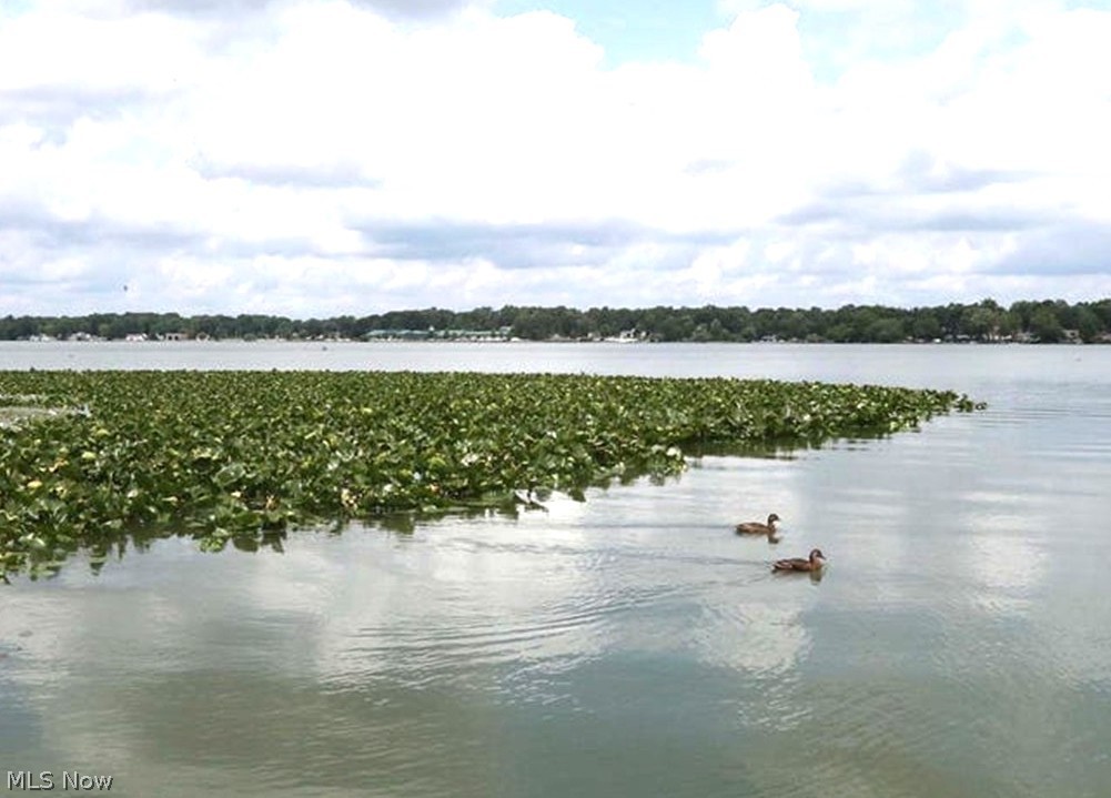 1485 3rd Street Lakemore OH 44250