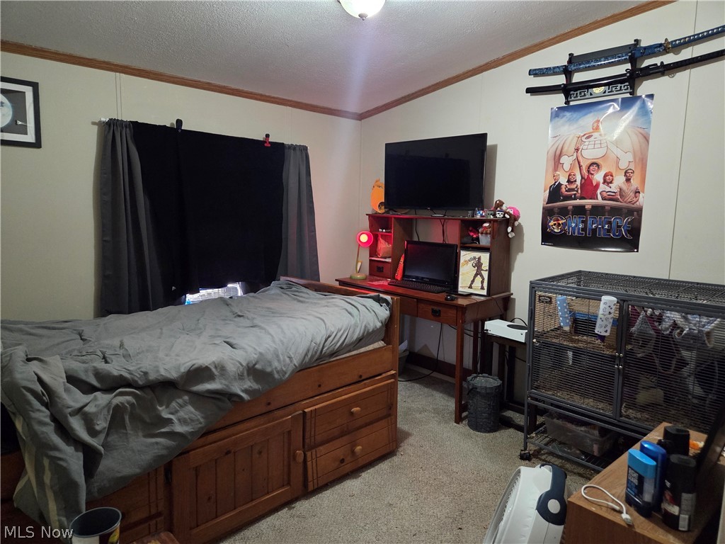 10039 State Route 700 Mantua OH 44255