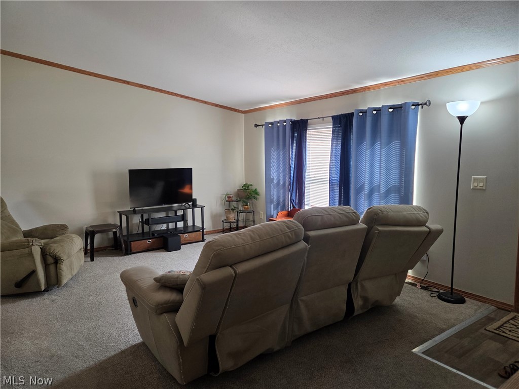10039 State Route 700 Mantua OH 44255