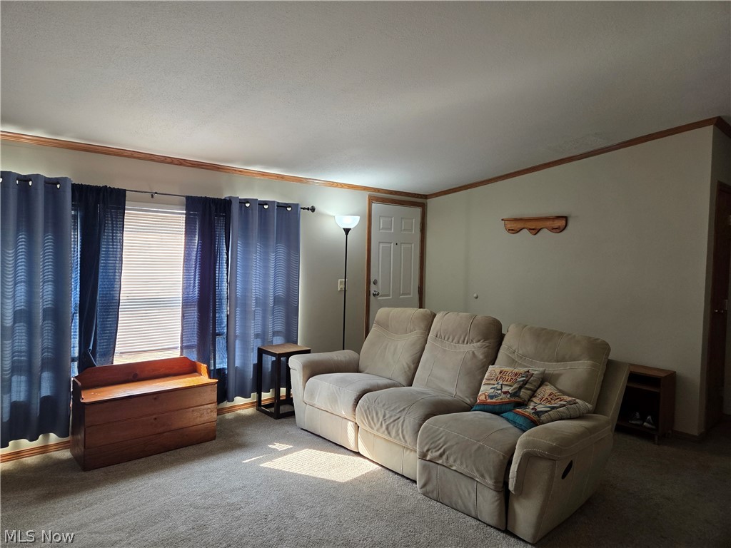 10039 State Route 700 Mantua OH 44255