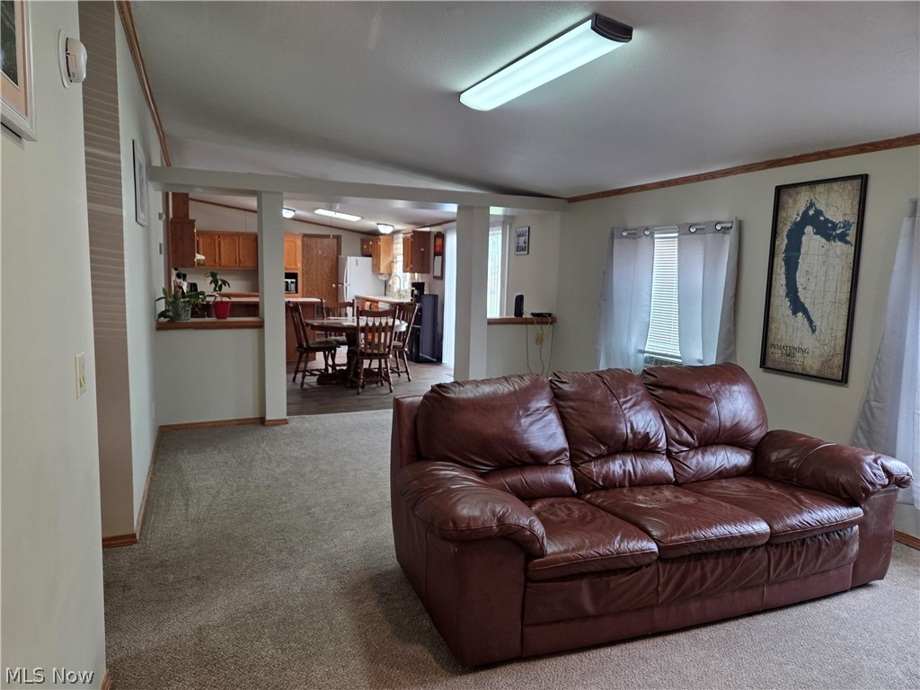 10039 State Route 700 Mantua OH 44255