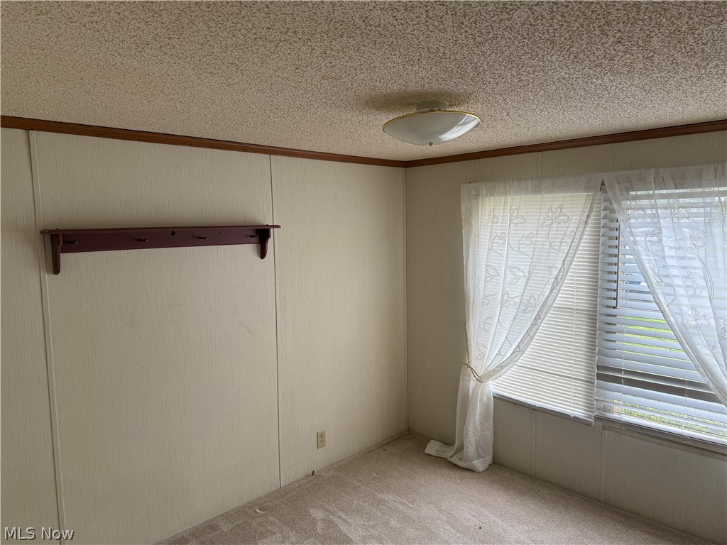 43 S Outer Drive Vienna OH 44473