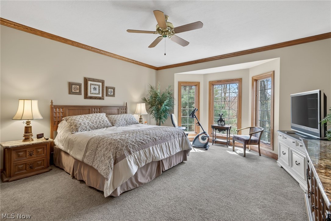 5502 Deer Pines Drive Clinton OH 44216