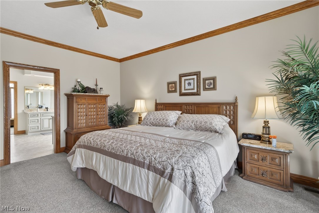 5502 Deer Pines Drive Clinton OH 44216