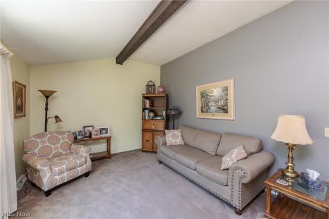 1421 Driftwood Lane Macedonia OH 44056